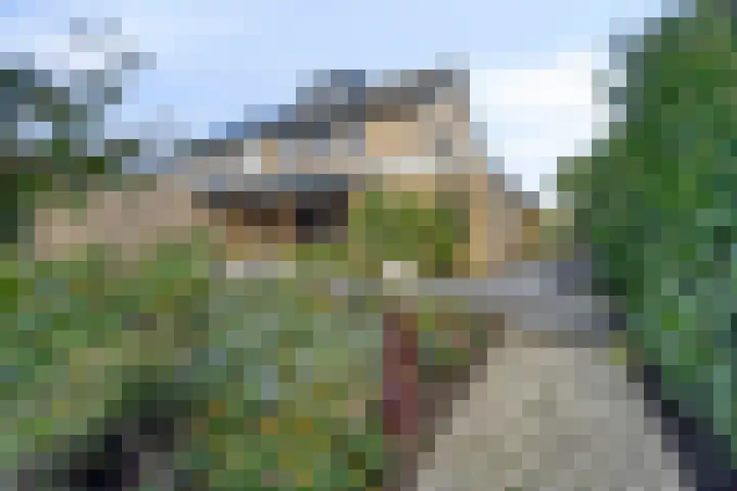 De Geer 16 Giesbeek thumbnail 46
