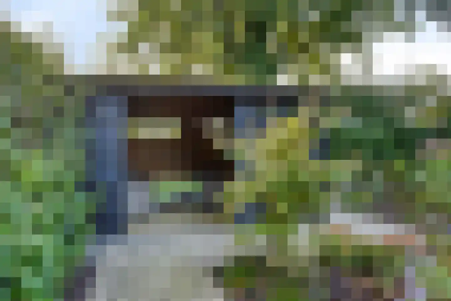 De Geer 16 Giesbeek thumbnail 47