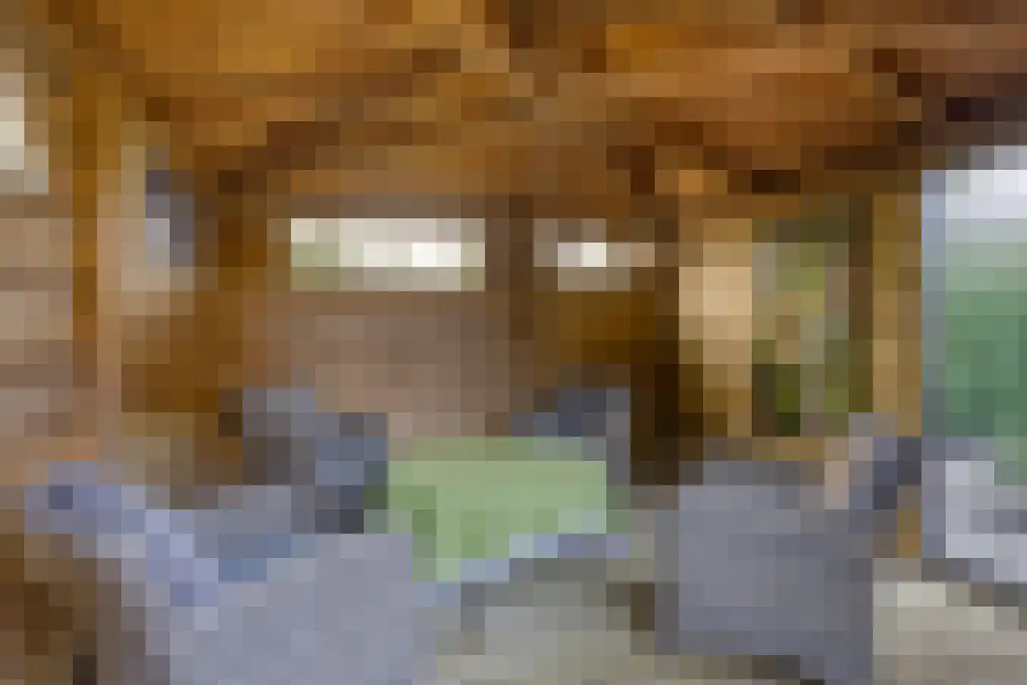 De Geer 16 Giesbeek thumbnail 48