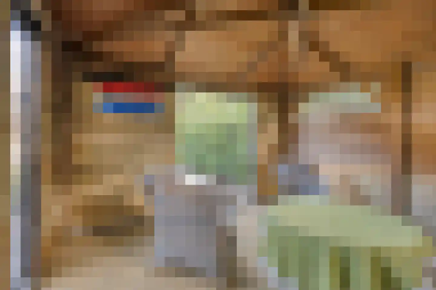 De Geer 16 Giesbeek thumbnail 49
