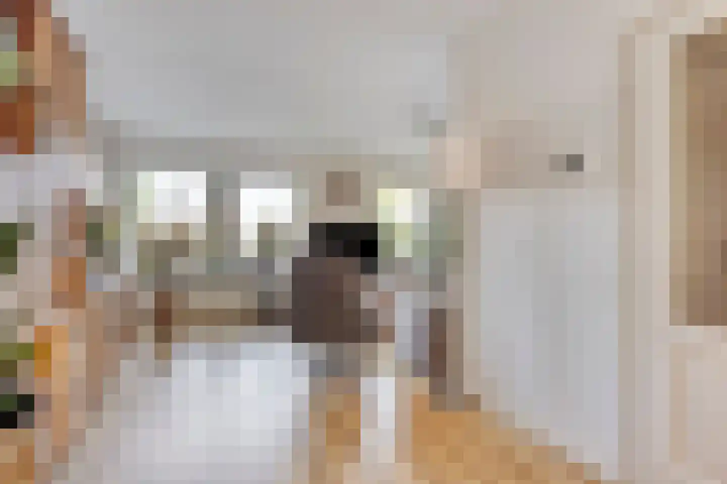 De Geer 16 Giesbeek thumbnail 5