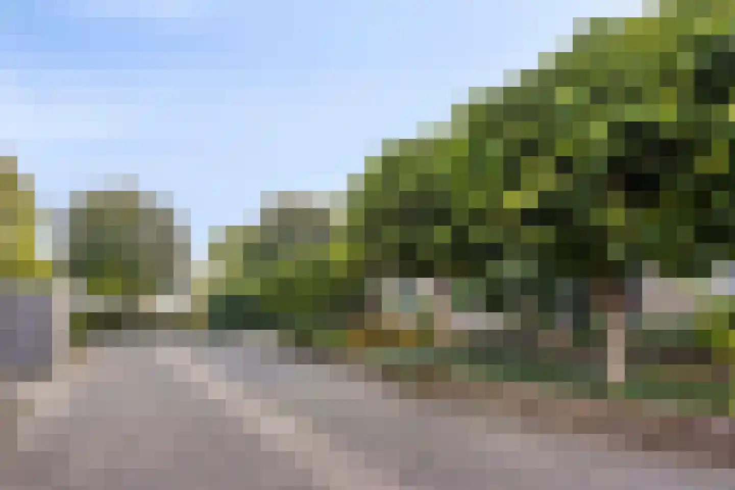 De Geer 16 Giesbeek thumbnail 53