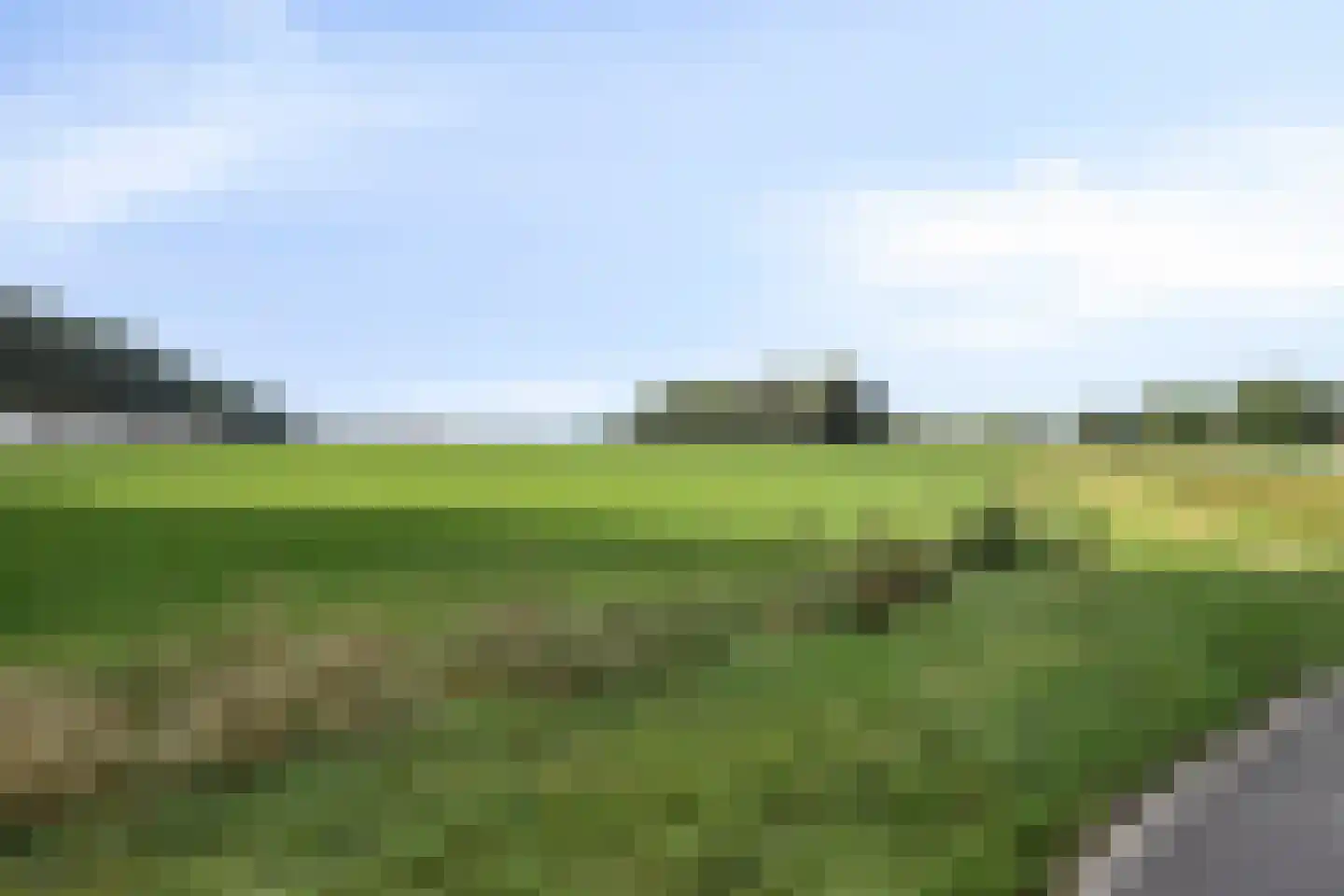 De Geer 16 Giesbeek thumbnail 55