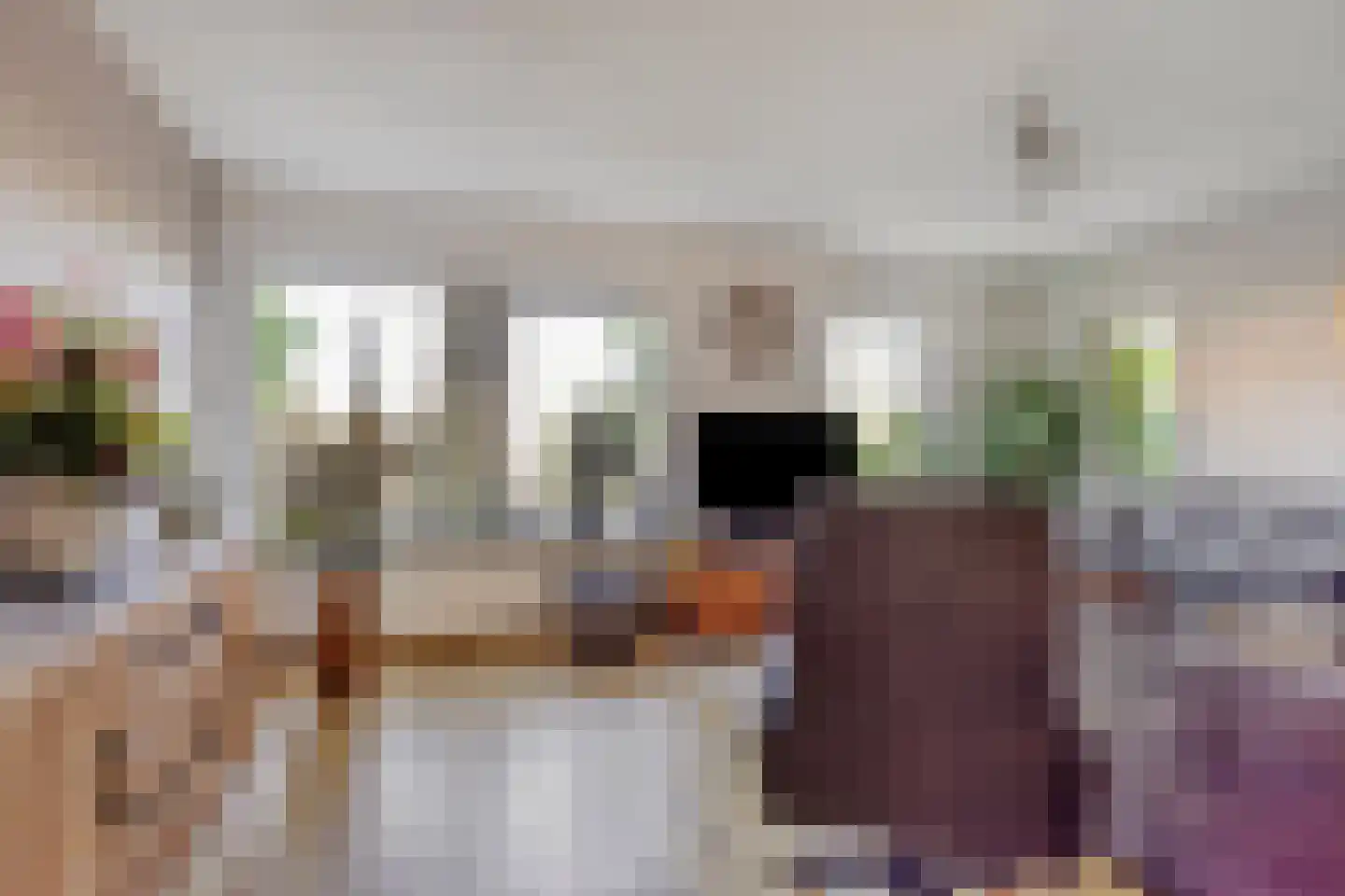 De Geer 16 Giesbeek thumbnail 6