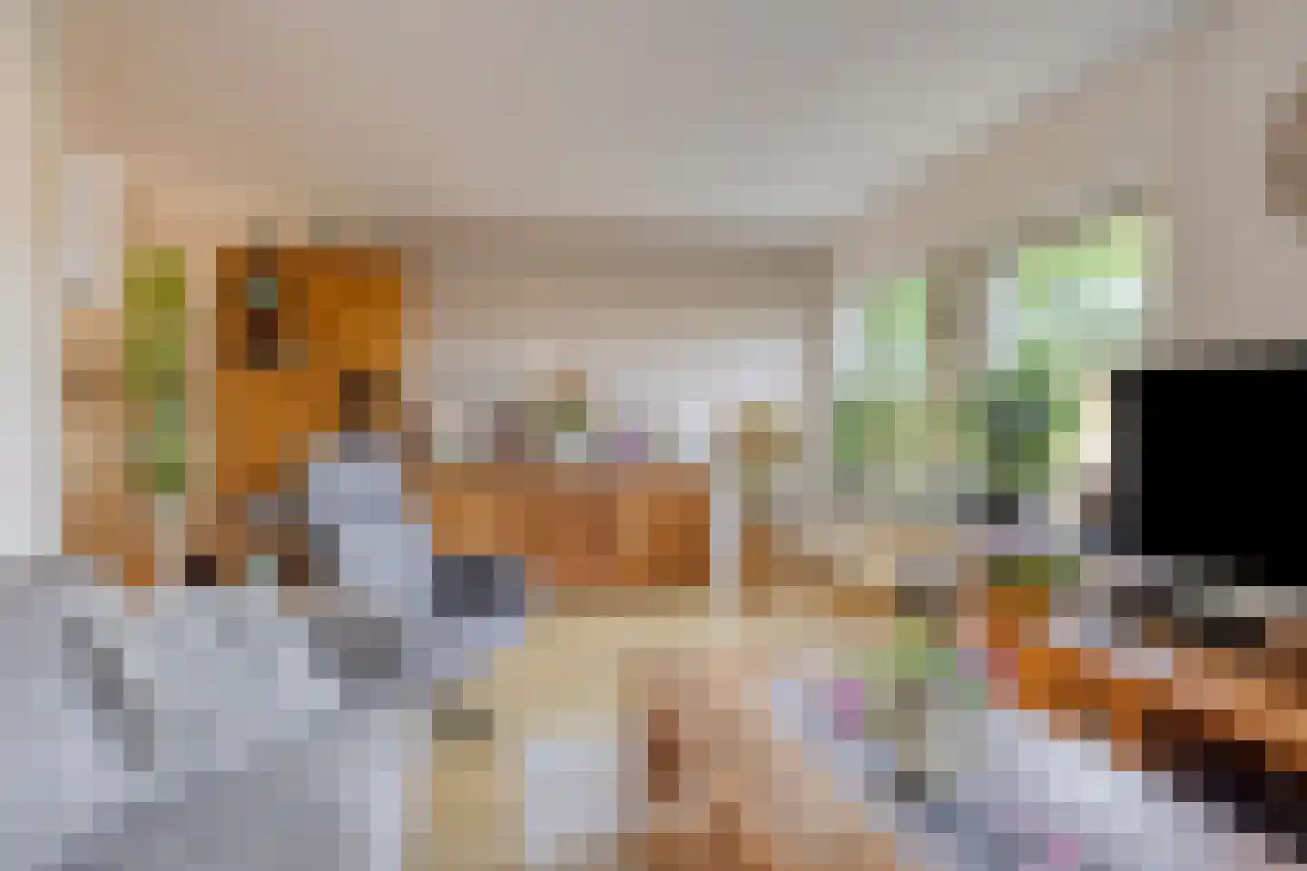 De Geer 16 Giesbeek thumbnail 8
