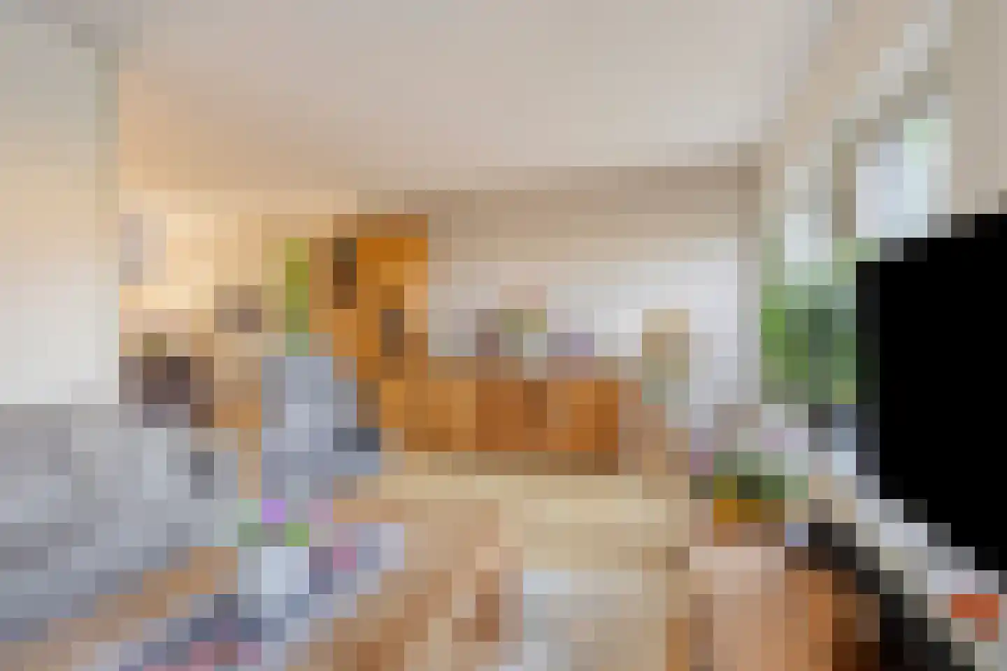 De Geer 16 Giesbeek thumbnail 9