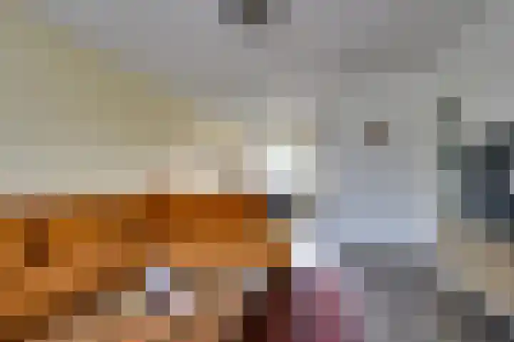 De Geer 24 Rijswijk (NB) thumbnail 4