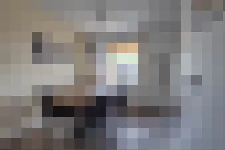 De Geer 24 Rijswijk (NB) thumbnail 6