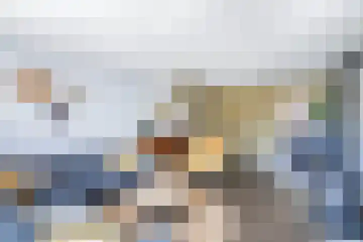 de Geer 45 Bant thumbnail 10