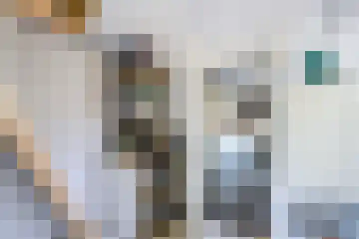 de Geer 45 Bant thumbnail 12