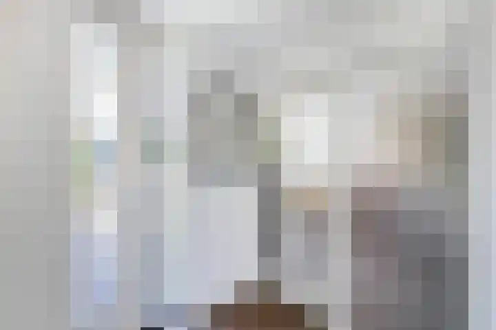 de Geer 45 Bant thumbnail 13