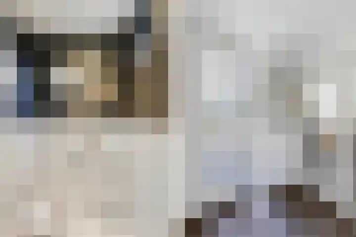 de Geer 45 Bant thumbnail 14