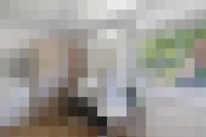 de Geer 45 Bant thumbnail 19