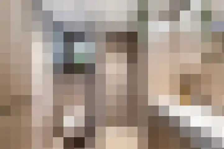 de Geer 45 Bant thumbnail 21