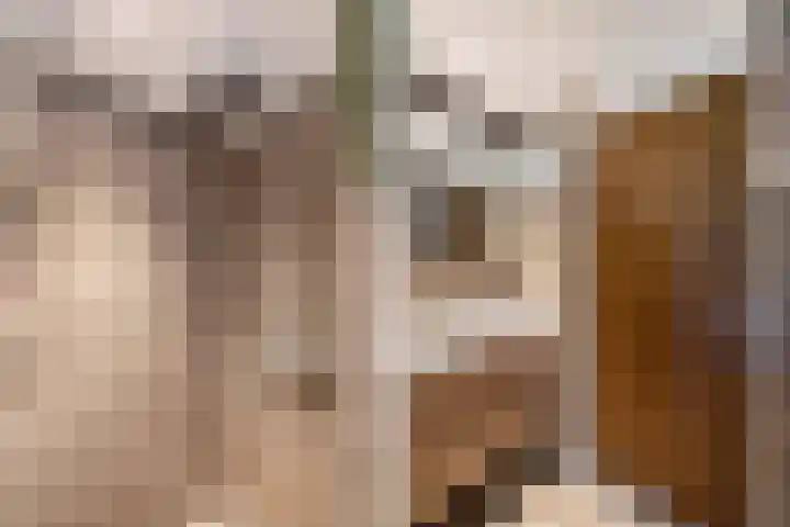 de Geer 45 Bant thumbnail 23