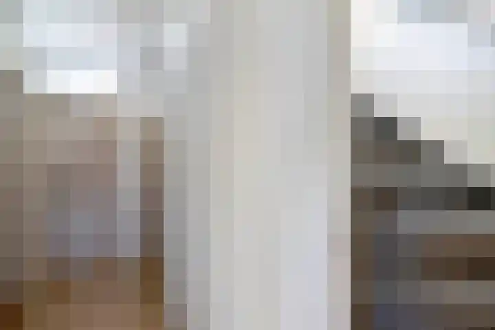 de Geer 45 Bant thumbnail 24