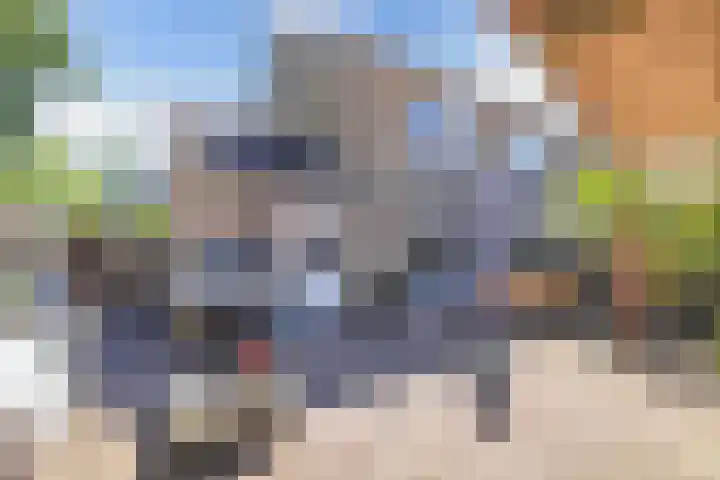 de Geer 45 Bant thumbnail 28