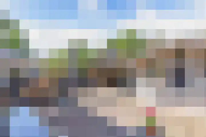 de Geer 45 Bant thumbnail 32