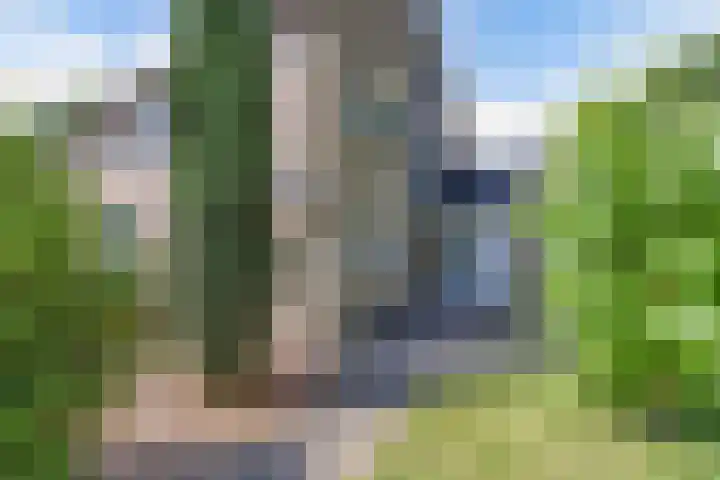 de Geer 45 Bant thumbnail 34