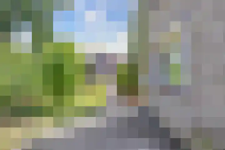 de Geer 45 Bant thumbnail 35