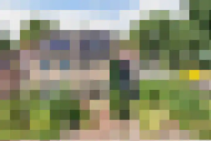 de Geer 45 Bant thumbnail 37