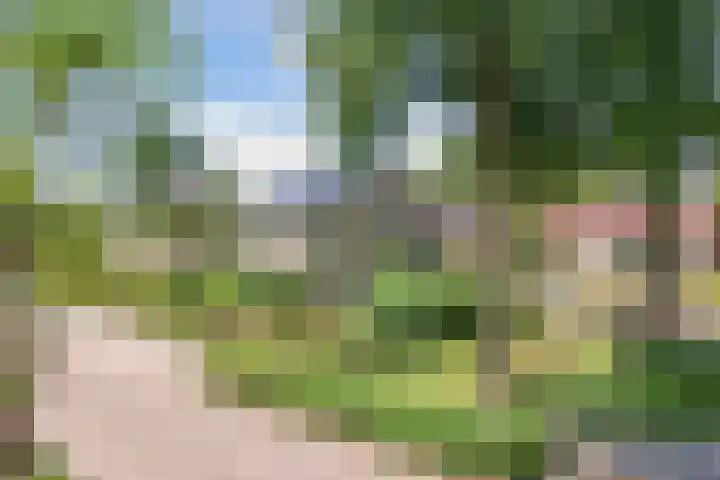 de Geer 45 Bant thumbnail 38