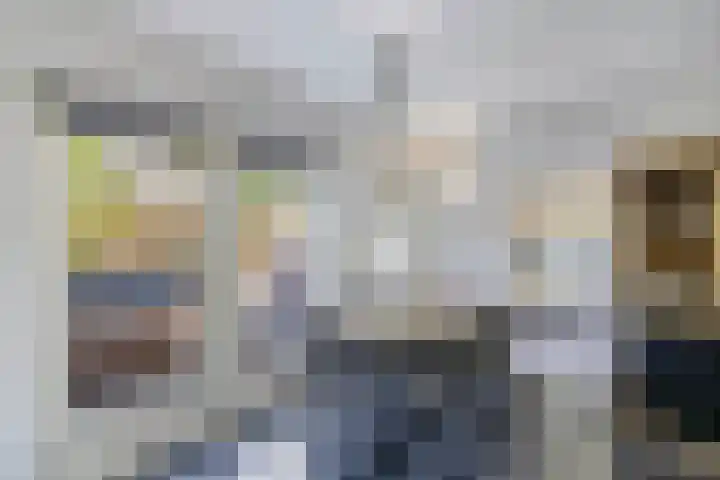 de Geer 45 Bant thumbnail 4