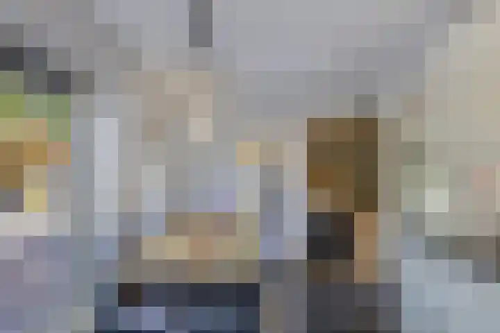 de Geer 45 Bant thumbnail 5