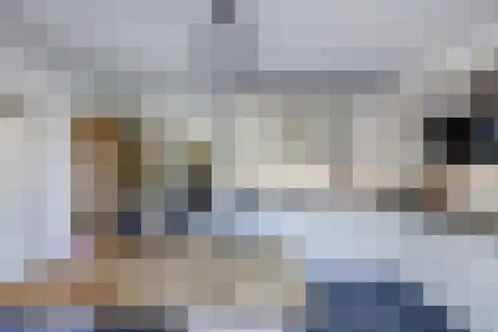 de Geer 45 Bant thumbnail 6