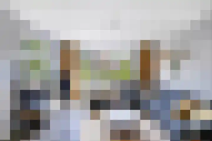 de Geer 45 Bant thumbnail 7