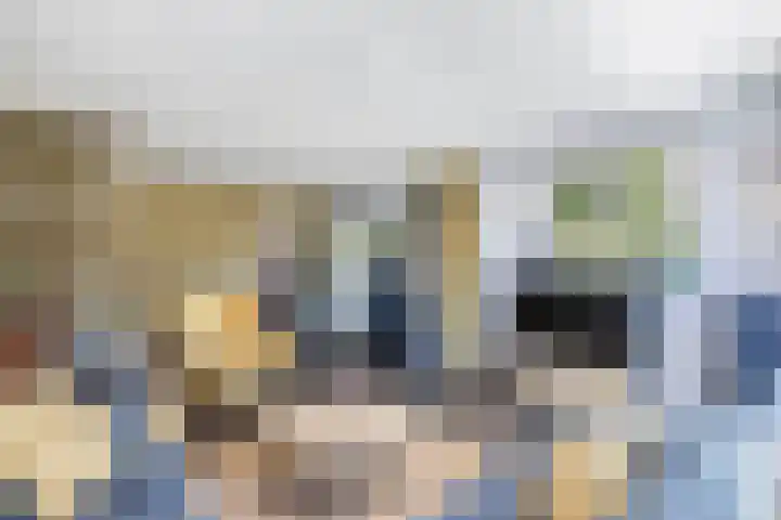 de Geer 45 Bant thumbnail 8