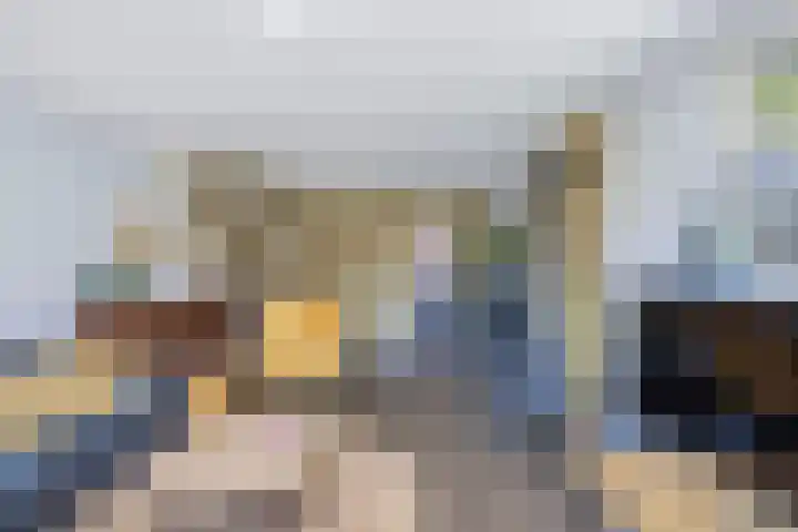 de Geer 45 Bant thumbnail 9