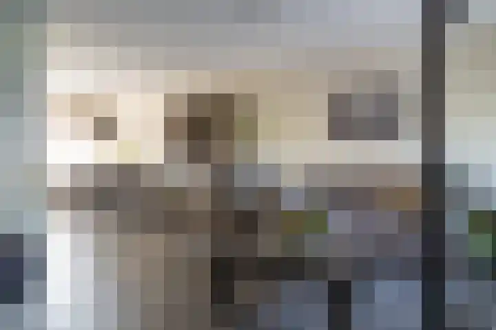 De Geer 6 Rijswijk (NB) thumbnail 10