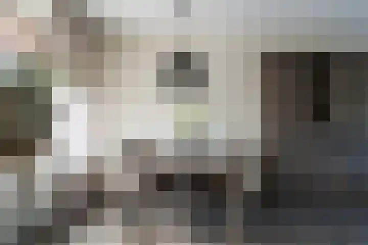 De Geer 6 Rijswijk (NB) thumbnail 13