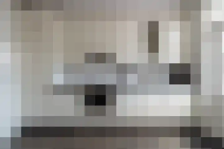 De Geer 6 Rijswijk (NB) thumbnail 14