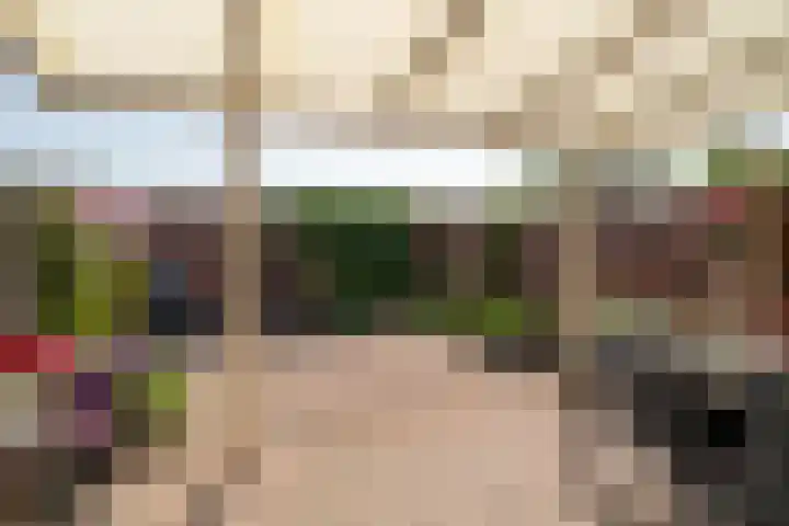 De Geer 6 Rijswijk (NB) thumbnail 30