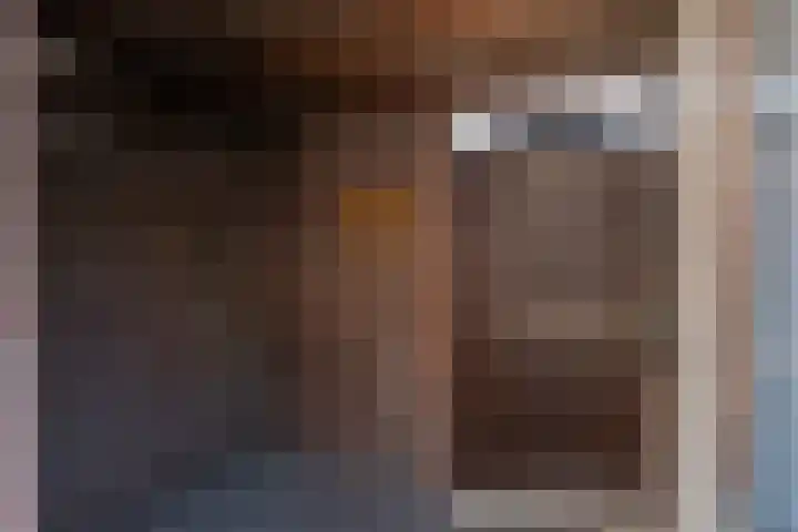 De Geer 6 Rijswijk (NB) thumbnail 32