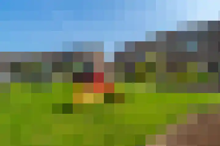 De Geer 6 Rijswijk (NB) thumbnail 4