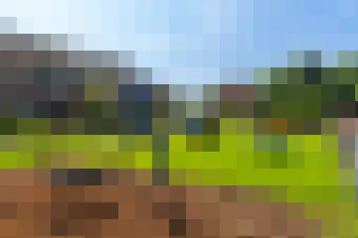 De Geer 6 Rijswijk (NB) thumbnail 5