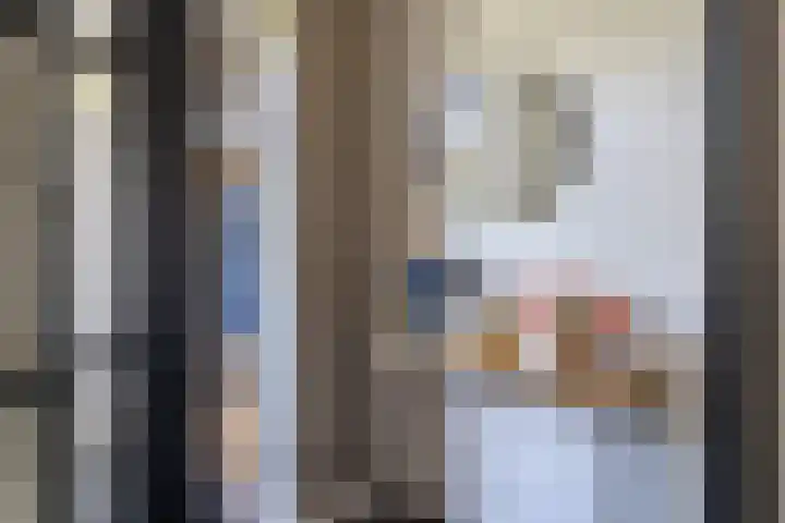 De Geer 6 Rijswijk (NB) thumbnail 8