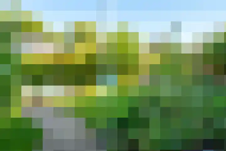 de Geer van Jutfaaslaan 23 Doorn thumbnail 18