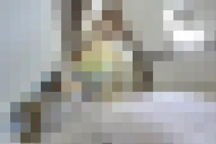 de Geer van Jutfaaslaan 23 Doorn thumbnail 27