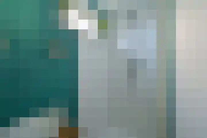 de Geer van Jutfaaslaan 23 Doorn thumbnail 32