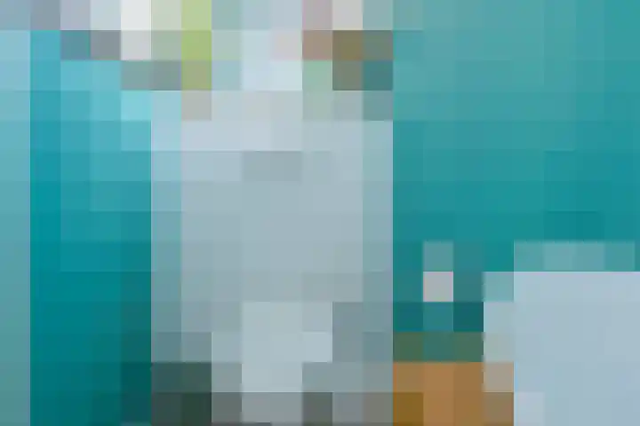 de Geer van Jutfaaslaan 23 Doorn thumbnail 33