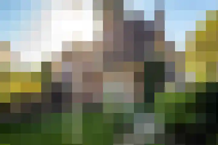 de Geer van Jutfaaslaan 23 Doorn thumbnail 35