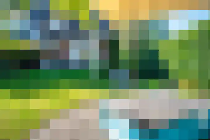 de Geer van Jutfaaslaan 23 Doorn thumbnail 36