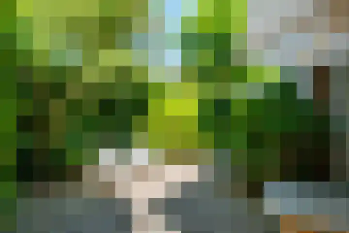 de Geer van Jutfaaslaan 23 Doorn thumbnail 43