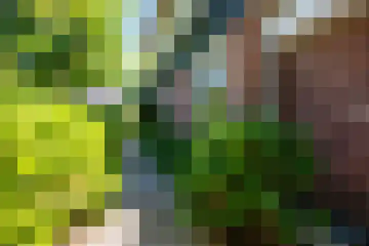 de Geer van Jutfaaslaan 23 Doorn thumbnail 44