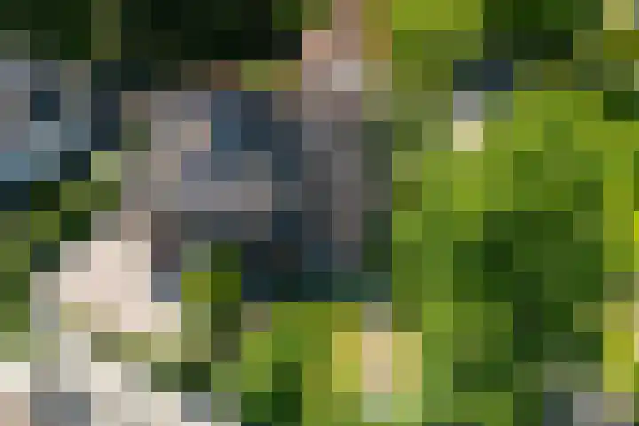 de Geer van Jutfaaslaan 23 Doorn thumbnail 45