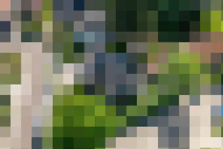 de Geer van Jutfaaslaan 23 Doorn thumbnail 47